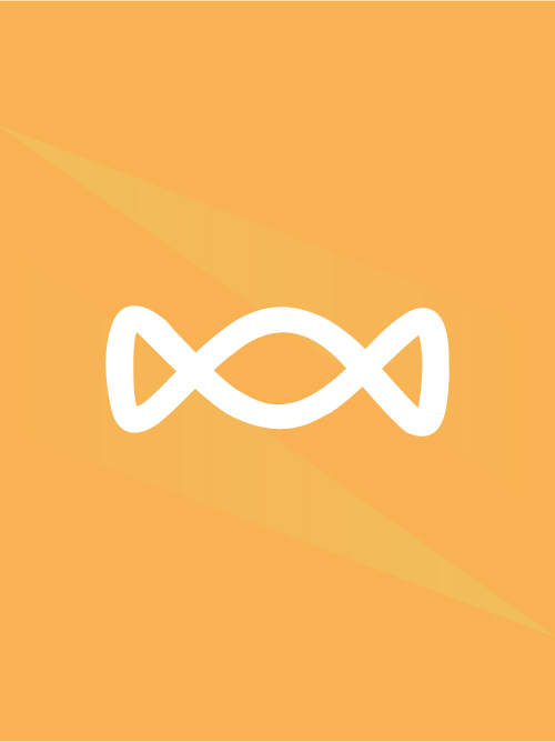 A Chronicle of the Lost